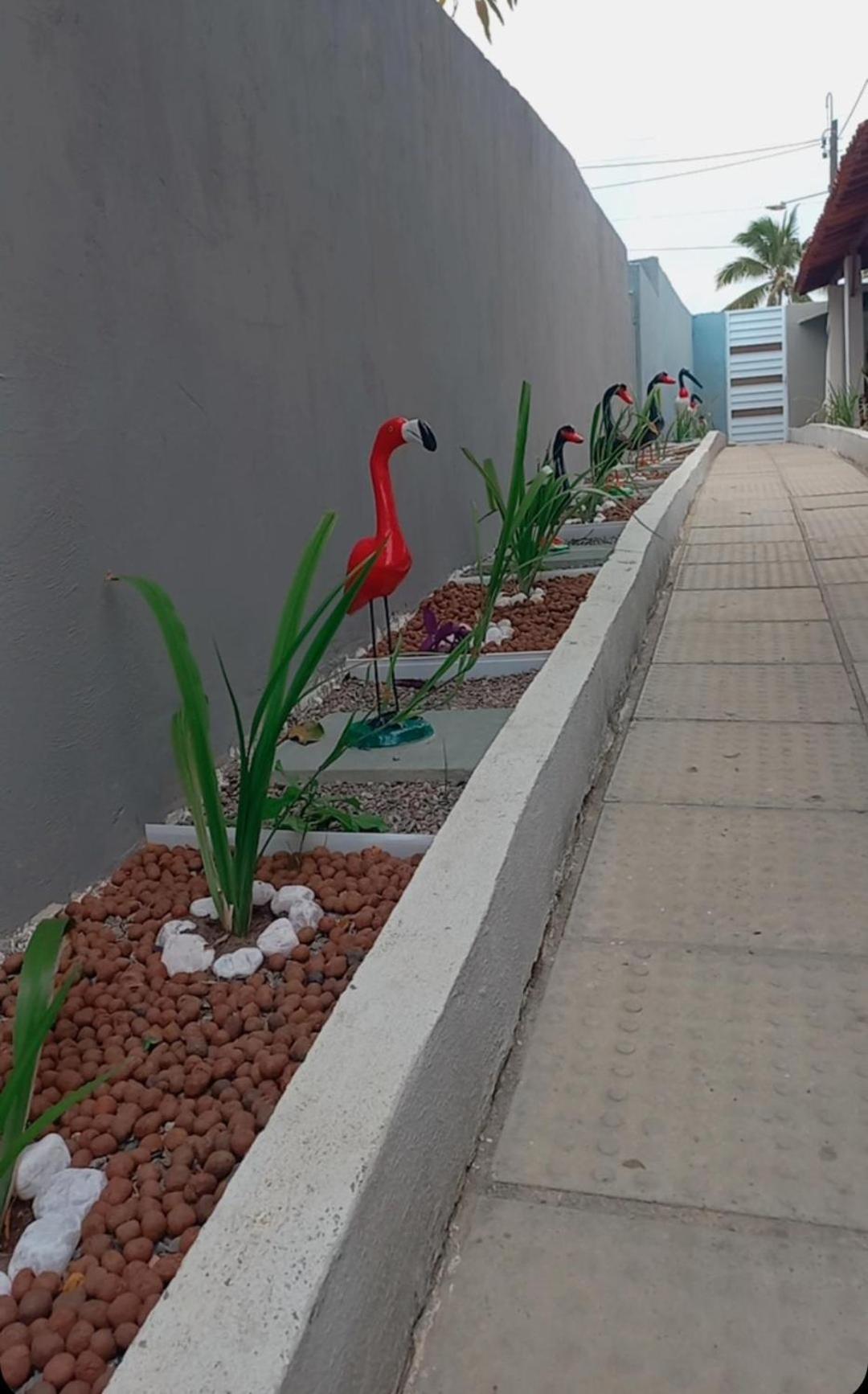Villa Velha Flats Ilha de Itamaraca Екстер'єр фото